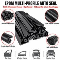 Tira de sellado de goma flocada EPDM para ventanas de coche, tira de sellado personalizable para el canal de goteo del cristal automotriz, resistente a la intemperie