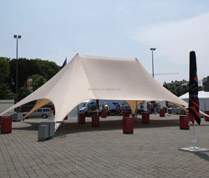 Sıcak satış çift çatı yıldız şekilli güneşlik çadır kamp ve parti için uygun - Product Image 2