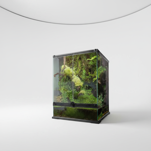 Stackable <strong>Glass</strong> Reptile Terrarium Mesh Top <strong>Vivarium</strong> for Arboreal Reptiles &amp; Amphibians <strong>Glass</strong> Tank - Product Image 1