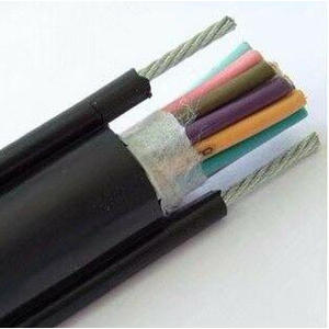 Palans électriques standard Rou, câble en polyuréthane PUR, poignée en acier, garantie 1 an - Product Image 1