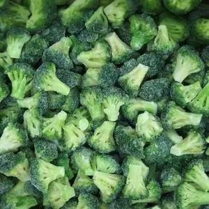 <span class=keywords><strong>Brócoli</strong></span> Congelado Entero 100% Natural y Orgánico, Listo para Comer, Alto en Nutrientes para Cocinar, Proceso de Congelación BQF - Product Image 6