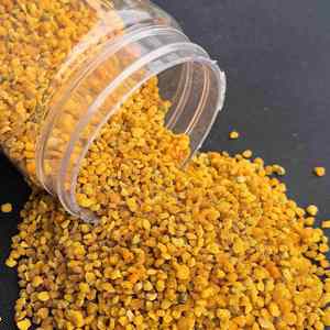 Pólen de Colza de Alta Calidad con Pared Celular Rota, Pólen de Maíz, Materia Prima, Pólen de Miel Puro y Fresco, Pólen de Abeja Mixto - Product Image 5