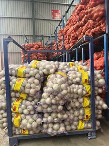 Cebola Branca Orgânica Cebola Amarela Legumes Frescos no Melhor Preço Cebola de Qualidade Superior para Exportação - Product Image 3