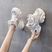 Chaussures de sport pour femmes à plateforme rehaussée, style Daddy, hiver, respirantes, polyvalentes, fines