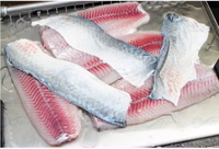 Machine à éplucher les poissons en promotion : Éplucheuse automatique de peau de calmar et de saumon