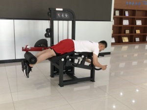 GC-5044 Gym Fitness Equipment Prone <strong>Leg</strong> <strong>Curl</strong> <strong>Machine</strong> for Lower Body Training - Product Image 6