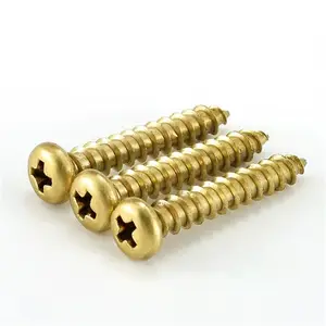 Pure Solid Brass Decorative Pan Head Wood Sheet Metal Screws Brass Small Long Screw Nail M6