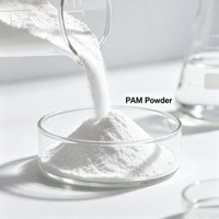Poliacrilamida (APAM) en Polvo de Alta Pureza (99%), de Peso Molecular Alto y Alta Densidad de Carga, Producto Químico Inofensivo de Fábrica China para Lavado de Arena