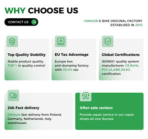 Nouveau Vélo Électrique Y20 Pro 2026 – VTT Électrique 20 Pouces à Pneus Larges (Fatbike) 500W – Vélo Électrique Urbain - Product Image 3