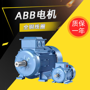 มอเตอร์ไฟฟ้ากระแสสลับ Abb รุ่น M2bax ซีรีส์ 11 กิโลวัตต์ 15 กิโลวัตต์ ขดลวดทองแดงทั้งหมด สำหรับอุปกรณ์เครื่องจักรกล - Product Image 4