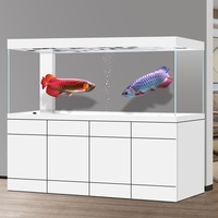 High-end Stainless Steel Arowana Tank Modern Patio Living Large Aquarium 120L Ultra-white Glass Screen Partition Bottom Box