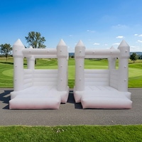Château gonflable Apexscn View pour enfants, 2,5 x 2,5 m, en PVC, facile à installer, garantie 1 an, portable, pour l'extérieur – Vente chaude en Chine