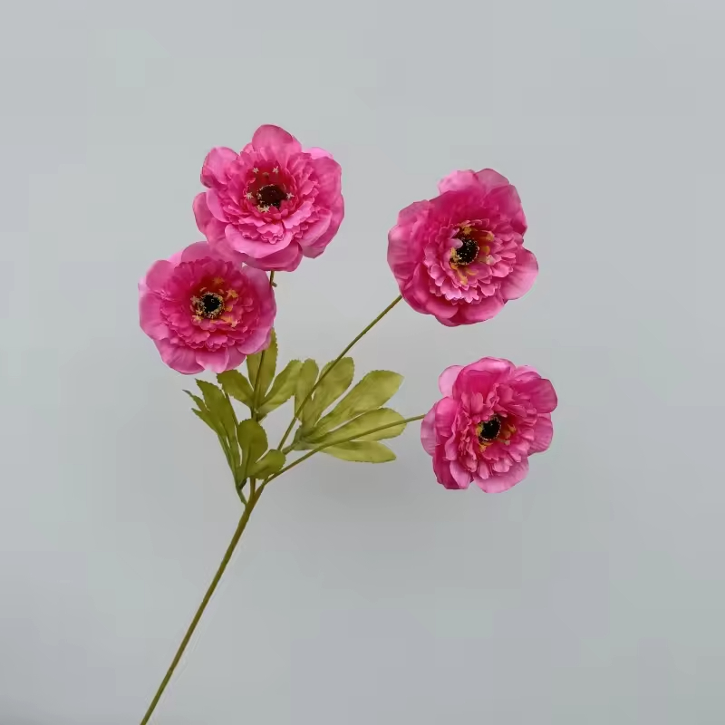 Rose madder