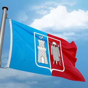 Drapeau d'impression numérique personnalisé Designs de haute qualité Drapeau Rostov-On-<span class=keywords><strong>Don</strong></span> 3x5FT <span class=keywords><strong>Russie</strong></span> Ville Drapeaux pour événements en plein air Fêtes et plus - Product Image 2