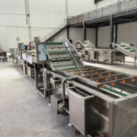 GUTEDA Avocado Verwerkingslijn - CE ISO Gecertificeerde RVS Turn-key Plant Motor voor Vers Fruit Pure Olie Sap Vruchtvlees
