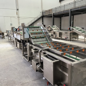 Ligne de transformation d'<span class=keywords><strong>avocat</strong></span> GUTEDA - Usine clé en main certifiée CE ISO, du fruit frais à l'extraction d'huile pure, de jus et de pulpe - Product Image 3