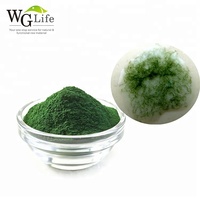 Poudre de protéines d'algues spiruline vert foncé naturelles brutes 50%-90% extraite par solvant, qualité alimentaire, marque WGLIFE, culture artificielle