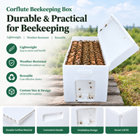 Boîte d'apiculture en Corflute à prix abordable, NUC 5 cadres, haute résistance, robuste, en plastique ondulé PP, pour l'élevage des abeilles