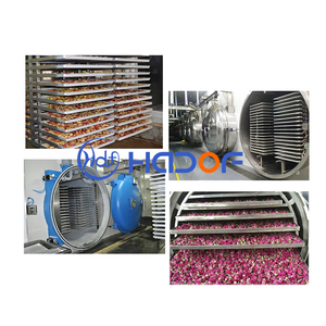 Machine de lyophilisation commerciale pour aliments : Krill de l'Antarctique, morue en morceaux, vairons, crevettes, <span class=keywords><strong>palourdes</strong></span> - Product Image 6