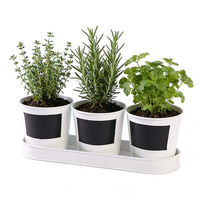 Lot de 3 pots de fleurs modernes en fer galvanisé, étiquettes noires en tableau noir, plateau de plantation argenté, écologiques, pour intérieur, extérieur, jardin, balcon