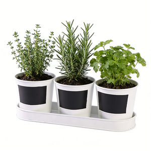 Lot de 3 pots de fleurs modernes en fer galvanisé <span class=keywords><strong>avec</strong></span> étiquettes tableau noir, jardinières argentées <span class=keywords><strong>avec</strong></span> plateau pour intérieur, bureau, balcon - Product Image 3