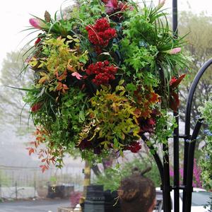 Macetas Colgantes Económicas, Macetas de Plástico, Bola de Flores - Product Image 6