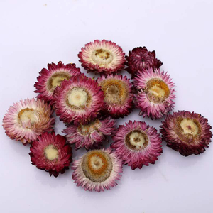 Fiori secchi per resina all'ingrosso paglia crisantemo piccola testa di fiore margherita essiccata testa di crisantemo colorato per cornice per foto - Product Image 5