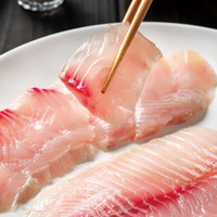 Filetes de Tilapia Congelados PBO IQF, Etiqueta Limpia, Sin Conservantes, Ingrediente para Buffet de Hotel, Certificado IFS, Venta al Por Mayor a Granel, 20FCL