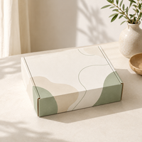 Boîte d'expédition en carton ondulé avec logo personnalisé pour l'e-commerce, boîte d'emballage en papier kraft imprimé vert sauge, boîte d'emballage en forme d'avion