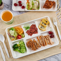Plateau de repas de canne à sucre jetable Durable 5 compartiments Assiette alimentaire Résistant aux fuites Bagasse de canne à sucre indienne biodégradable robuste