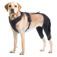 Attelle de genou pour chien avec harnais de laisse de sécurité pour les blessures à la jambe arrière ACL déchiré Douleur articulaire Anti-léchage Manchon de soutien pour jambe d'animal de compagnie Genouillère