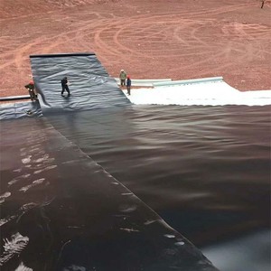 1,0mm 1,5mm Hdpe Geomembrana lago presas construir embalses presa Anti-UV Liner para Playa Sol sal - Product Image 2