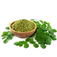 Complément protéiné en capsules de Moringa Biocaro OEM Private Label, poudre de feuilles de Moringa, poudre de Moringa de haute qualité