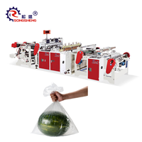SONGSHENG GFQ Plastic HDPE Fruitzakken Snijmachine Rolmachine PLC Motor Lager Hoge CE/ISO9001 Certificering Supermarkten 220V 1 Jaar Garantie