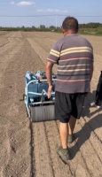 Machine à semer l'ail avec moteur à boîte de vitesses pour une solution agricole intelligente à haute productivité