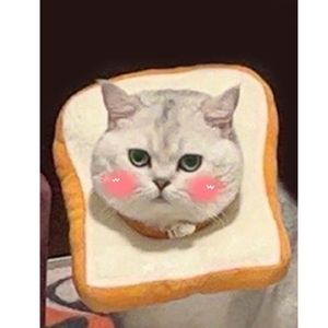 엘리자베스 칼라 조정 가능한 토스트 고양이 spayed 고양이 개 소프트 칼라 안티 스크래치 안티 핥기 엘리자베스 애완 동물 목걸이 - Product Image 2