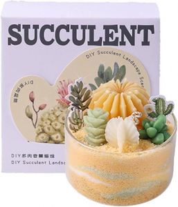 Vente en gros de bougies chauffe-plat fantaisie pour cadeaux de mariage, kit de fabrication de bougies parfumées DIY pour la décoration intérieure - Product Image 5