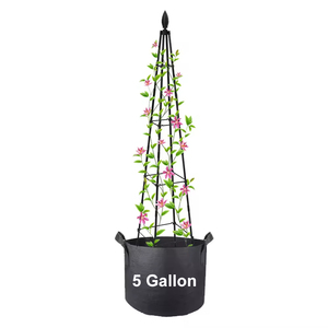 Enrejado de jardín Obelisk de torre alta para plantas trepadoras, planta de flor de vid, enrejado Ted <span class=keywords><strong>Baker</strong></span> <span class=keywords><strong>Chelsea</strong></span> con bolsa de cultivo - Product Image 6