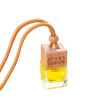Diffuseur d'huiles essentielles en verre miniature personnalisé en gros, aromathérapie, désodorisant de voiture longue durée, parfum liquide, rétroviseur