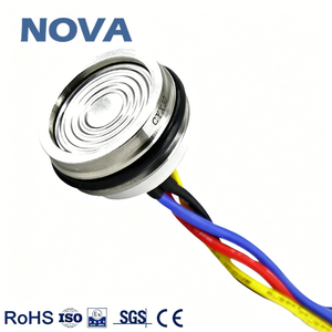 Sensor <span class=keywords><strong>de</strong></span> Presión Cerámico Inteligente OEM, Precisión del 0.5%, 1.5mA/5V, Piezoresistivo, Bajo Precio, China - Product Image 3