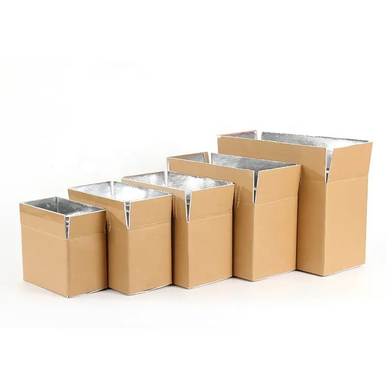 Dapat disesuaikan aluminium Foil busa makanan katering isolasi termal kotak transportasi terisolasi kotak pengiriman