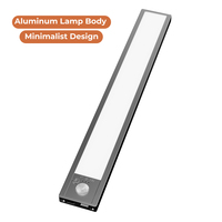 Lumière LED à détecteur de mouvement rechargeable, à intensité variable, écologique, moderne, portable, éclairage intérieur, cuisine, placard, armoire