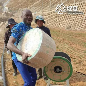 中国制造商绿森免费设计1公顷2公顷5公顷滴灌带灌溉系统整套套件16毫米平灌溉滴灌带