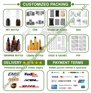 OEM Private Label <span class=keywords><strong>Vitamin</strong></span> <span class=keywords><strong>B</strong></span> Komplex Flüssigkeits tropfen mit <span class=keywords><strong>B12</strong></span> & Folat ergänzt Immunität Energie und Kognition Unterstützung für Erwachsene - Product Image 3