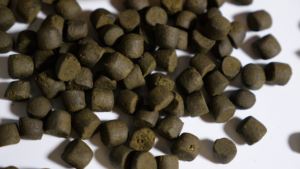 20kg Porpoise Koi 식품 고단백 부유 물고기 식사 곡물 프리 색상 가방에 포장 된 신체 성장을 위해 향상 - Product Image 4