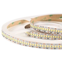 Nouvelle Arrivée Bande LED Extérieure/Intérieure Étanche Colorée DC 12V/24V 240 LED/m SMD2835 CRI 98 Durée de Vie 50 000 Heures Facile à Installer