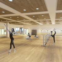 Revêtement de sol en vinyle, caoutchouc, plastique PVC pour studio de danse, salle de ballet, salle de sport, certifié CE, épaisseur 2 mm/3 mm, rouleau de 20 m, couleur au choix, intérieur