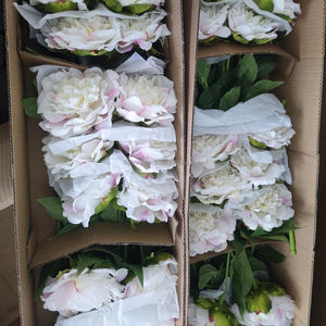 Grande vero tocco peonia fiori artificiali per la decorazione della camera fiore estetica peonia per Idea regalo o centrotavola - Product Image 1