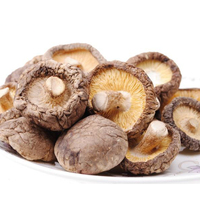 Jamur Utuh Tebal Berdaging, Jamur Shiitake, Sumber Vitamin D, Pengganti Daging Nabati, Sesuai HACCP, Kemasan Besar