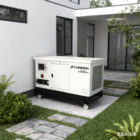 30KW 120V 230V 240V 380V 4-Zylinder-Benzingenerator mit Wasser kühlung Ultra leiser industrieller Strom generator